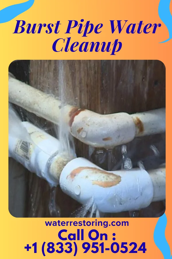 Burst Pipe Water Cleanup in Monfort Heights, OH