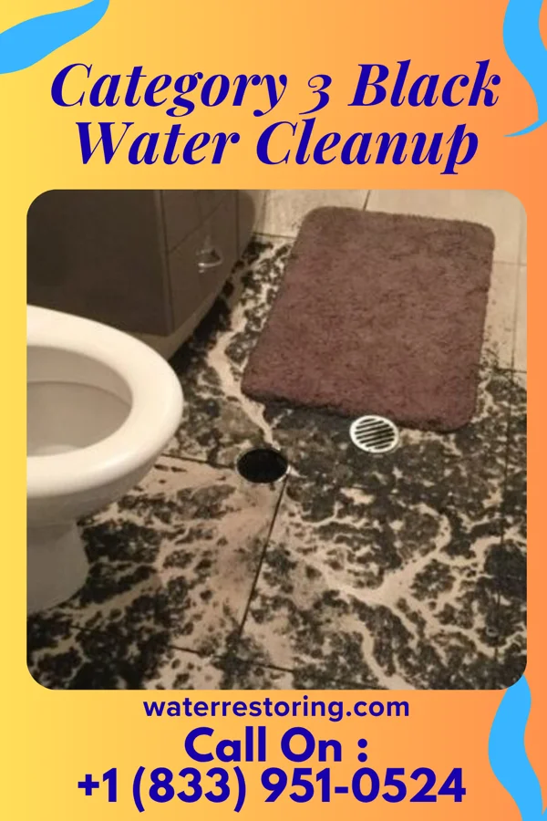 Category 3 Black Water Cleanup in Monfort Heights, OH