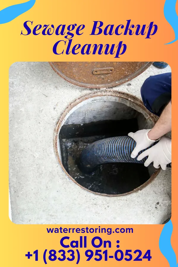 Sewage Backup Cleanup in Monfort Heights, OH