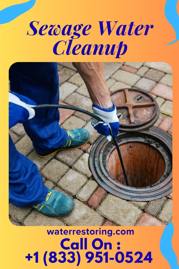 Sewage Water Cleanup in Monfort Heights, OH