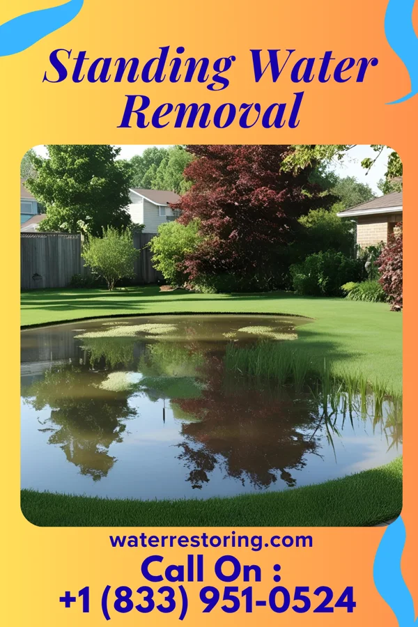Standing Water Removal in Monfort Heights, OH